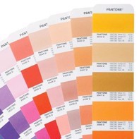 Pantone Formula Guide Set, Solid Coated & Solid Uncoated - GP1601A